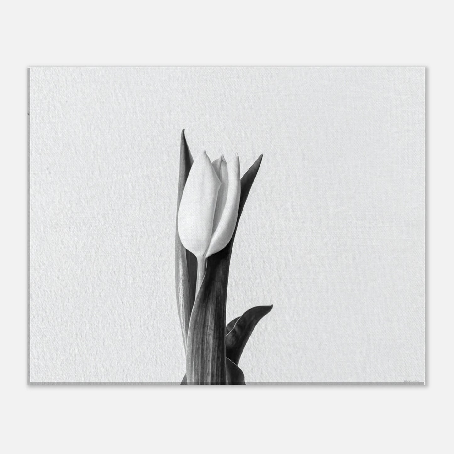 c6bf8e41-47e9-40c2-b0e6-f2e576685dc6