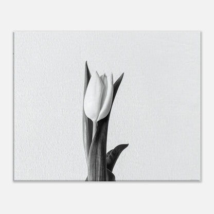 c6bf8e41-47e9-40c2-b0e6-f2e576685dc6