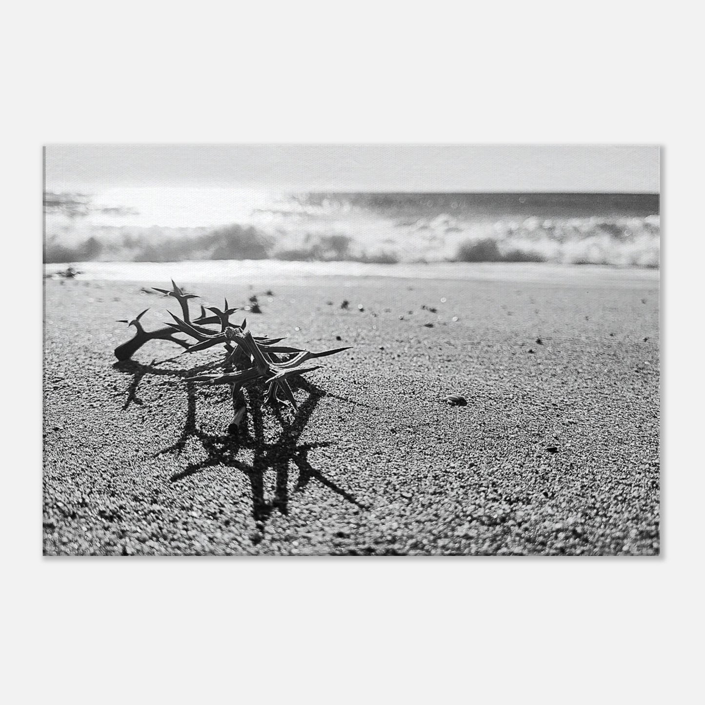 c6c412f9-202d-4d8c-8669-abd2b90c4972