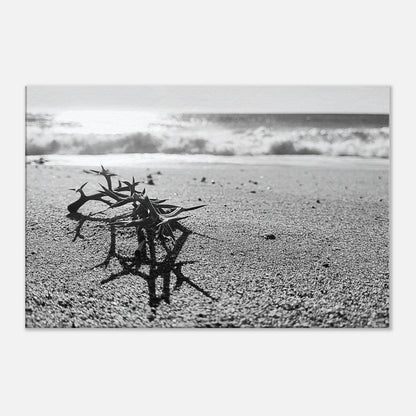 c6c412f9-202d-4d8c-8669-abd2b90c4972