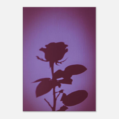 c6d322fe-bede-4810-b7b1-038abb2db4b5