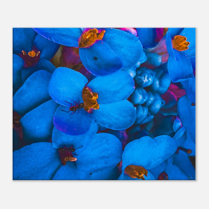 c6d366aa-8140-4027-ae90-b9d43b9bb9e9