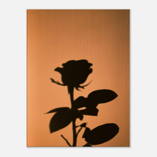 c6f61d58-55ee-47c1-934e-fb58d6f2dd89