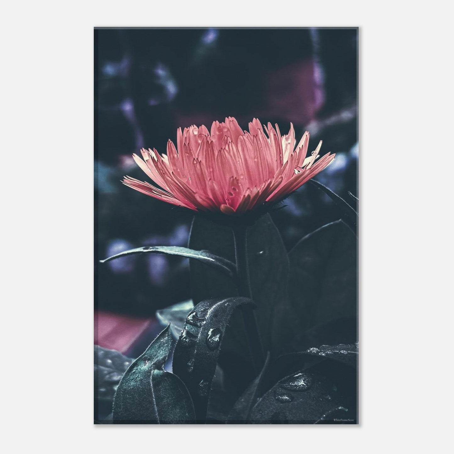 c6febec1-83ce-43a1-85ac-5f7b75d6fc44