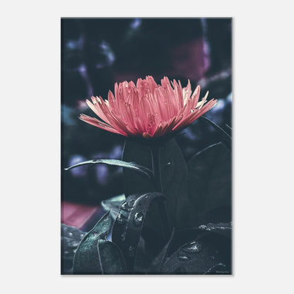 c6febec1-83ce-43a1-85ac-5f7b75d6fc44