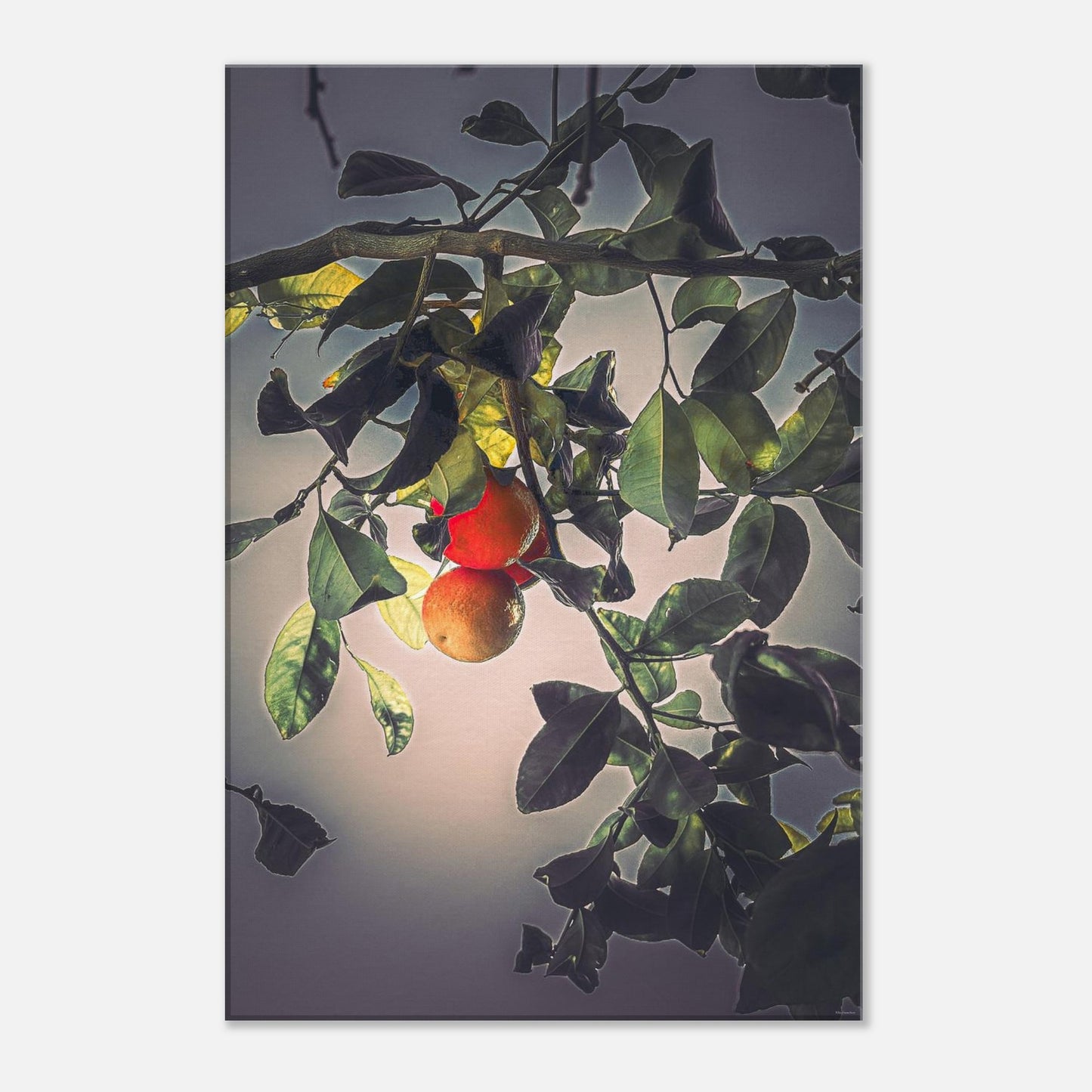 c711929c-f1fa-48ca-a065-c7142e0647b8