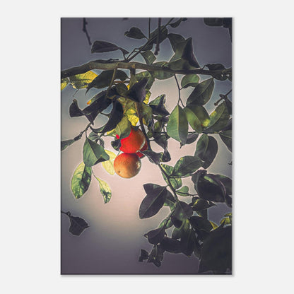 c711929c-f1fa-48ca-a065-c7142e0647b8