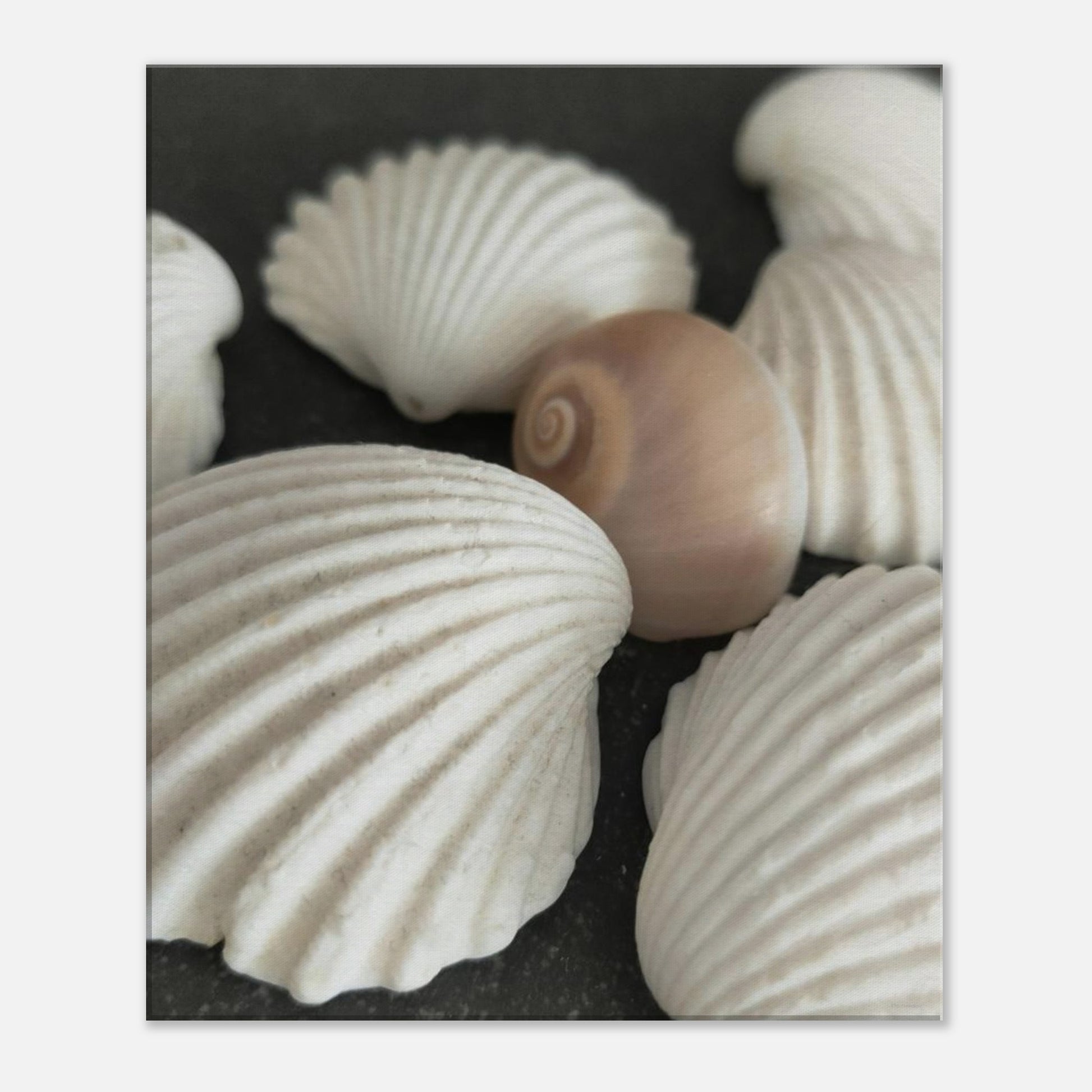 c746889e-6173-483b-99d0-b2e979b04b77