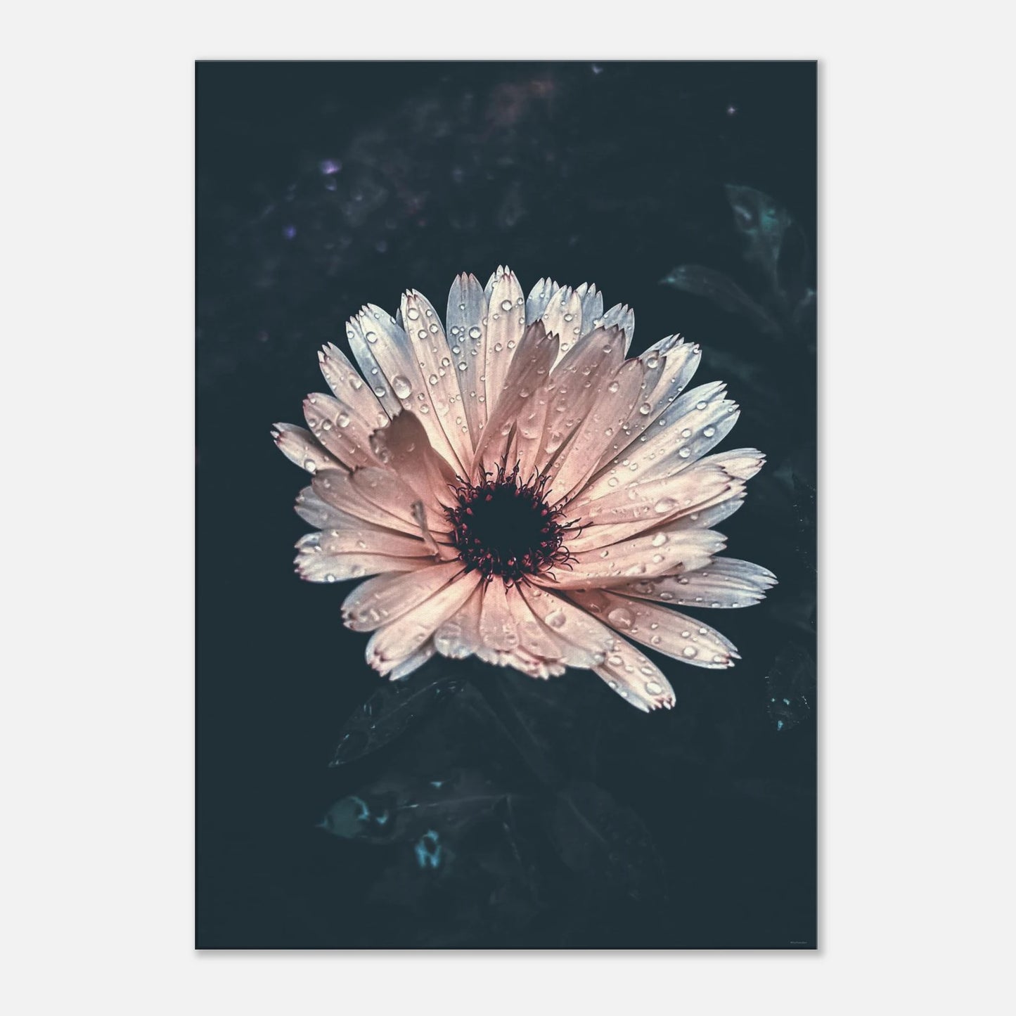 c748a2ab-a69d-4d20-a16f-f27452721e7c