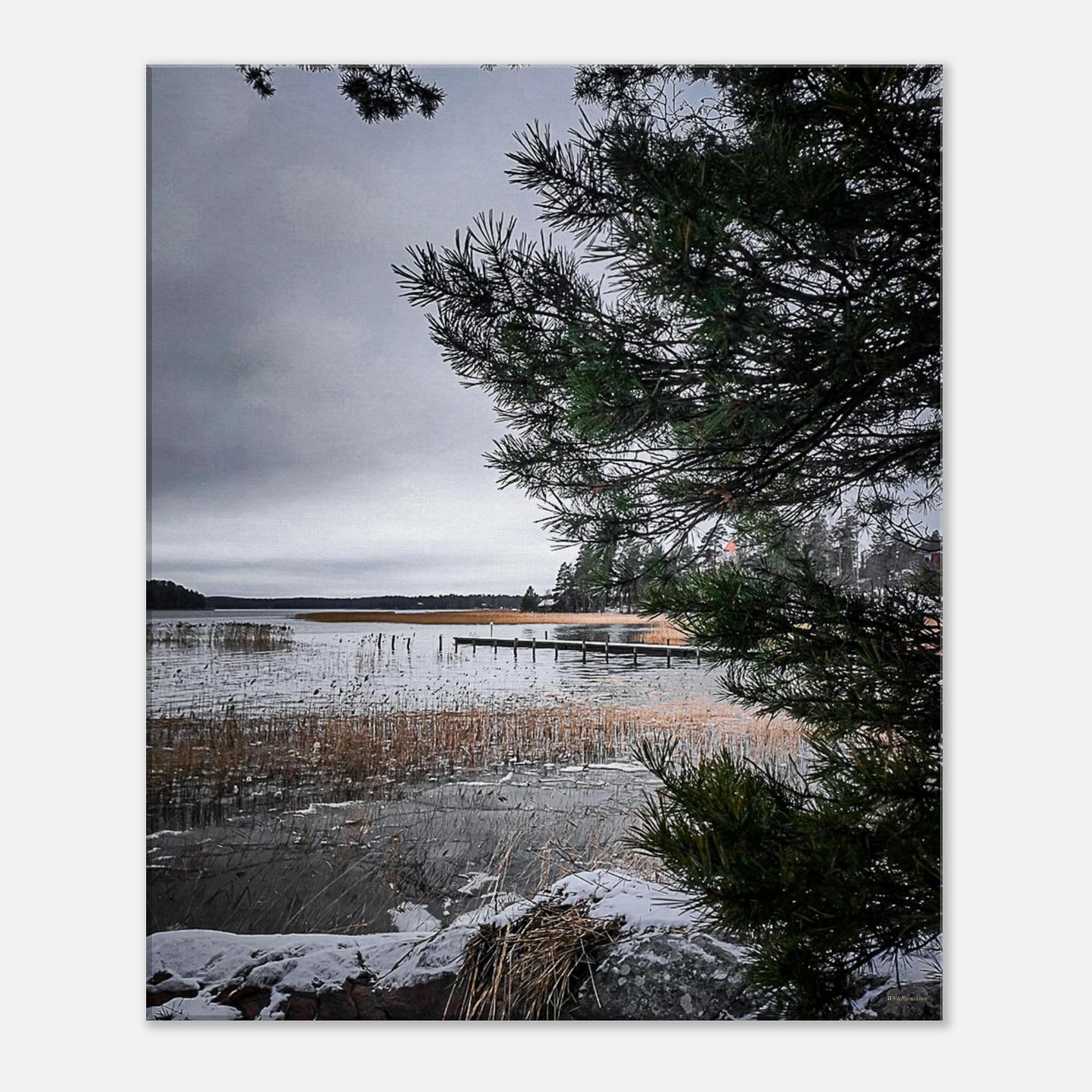 c7554b16-5e60-40cb-aa38-1c2be199978a