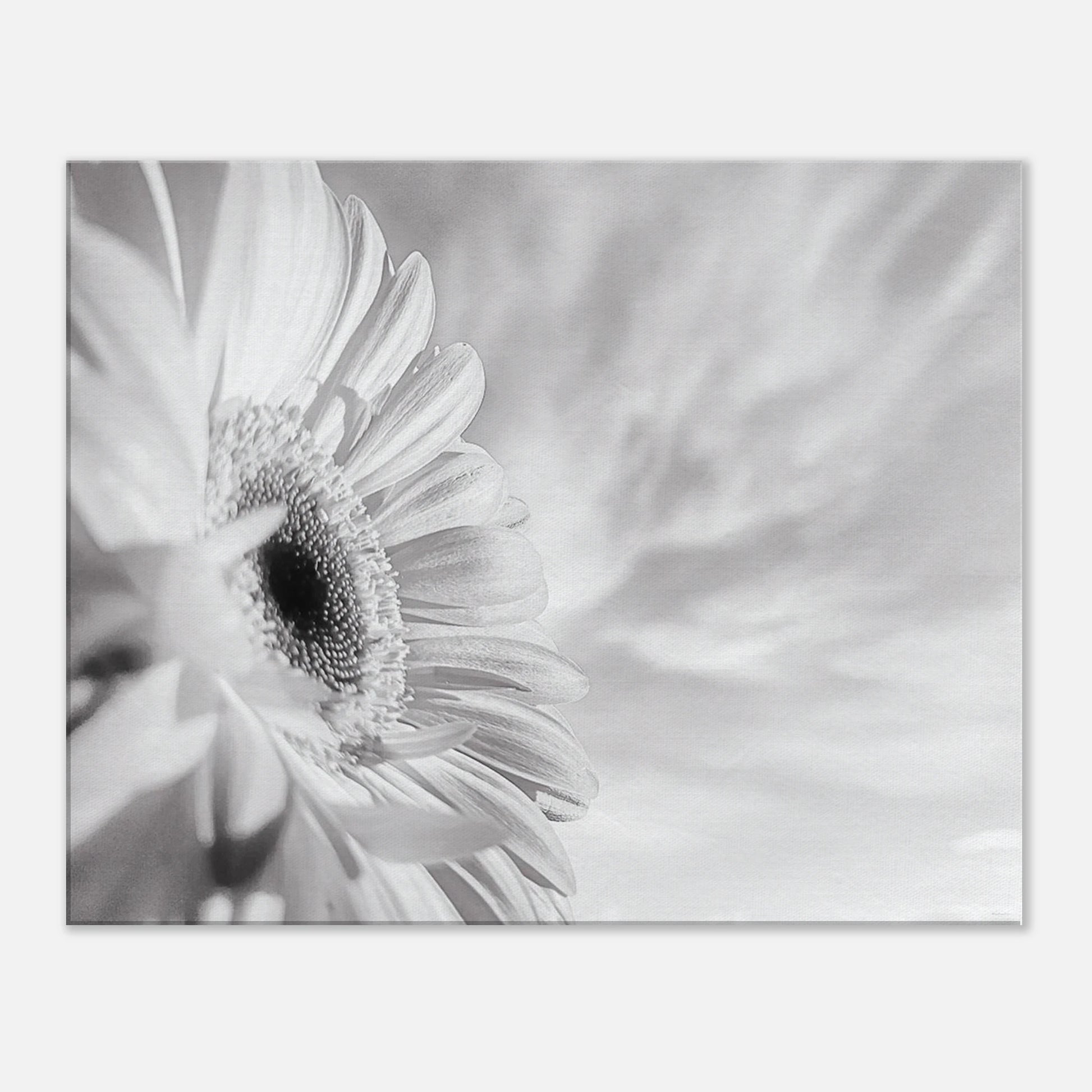 c757300b-6325-47a2-831a-0eb2f0cbd889