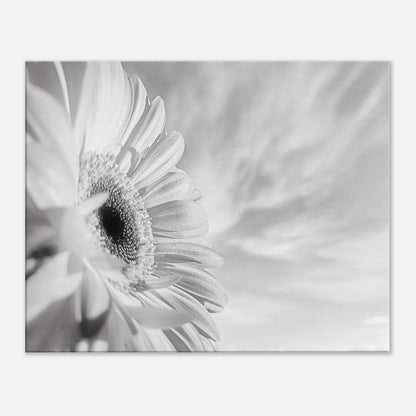 c757300b-6325-47a2-831a-0eb2f0cbd889