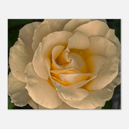 c77d1cec-9c47-479e-ba14-d73deee7723b