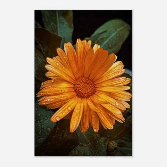 c780bf96-e9a0-4cce-b398-f04c33298ff6