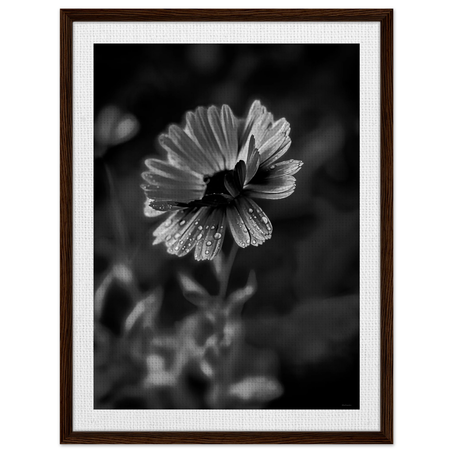 c7868d62-fd0c-47ad-98bb-a1774afbdf40