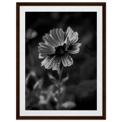 c7868d62-fd0c-47ad-98bb-a1774afbdf40