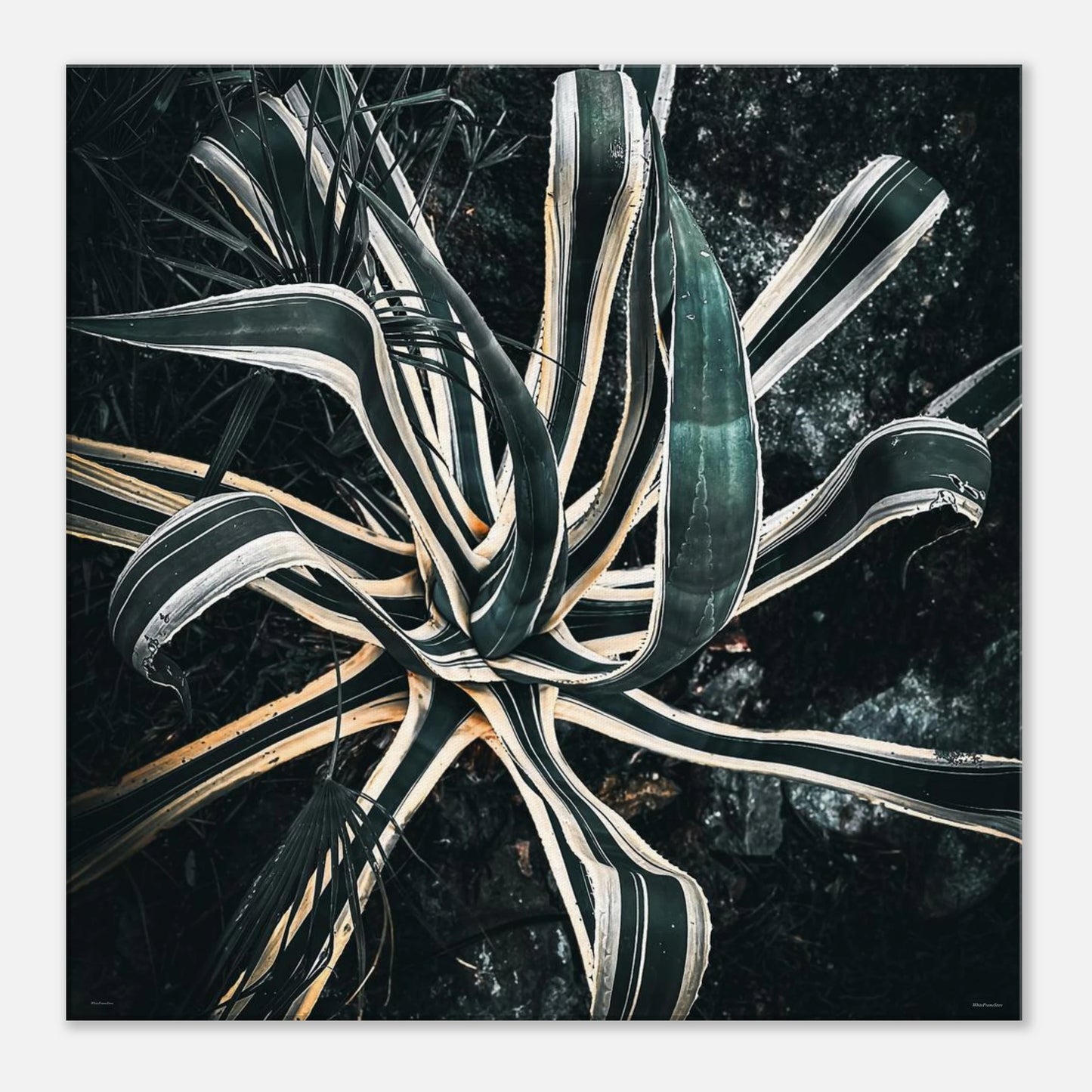 c78c2d8a-cbb9-48d7-b1f5-b2df6ca31756