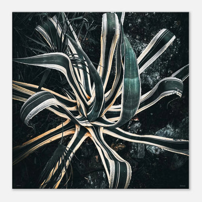 c78c2d8a-cbb9-48d7-b1f5-b2df6ca31756