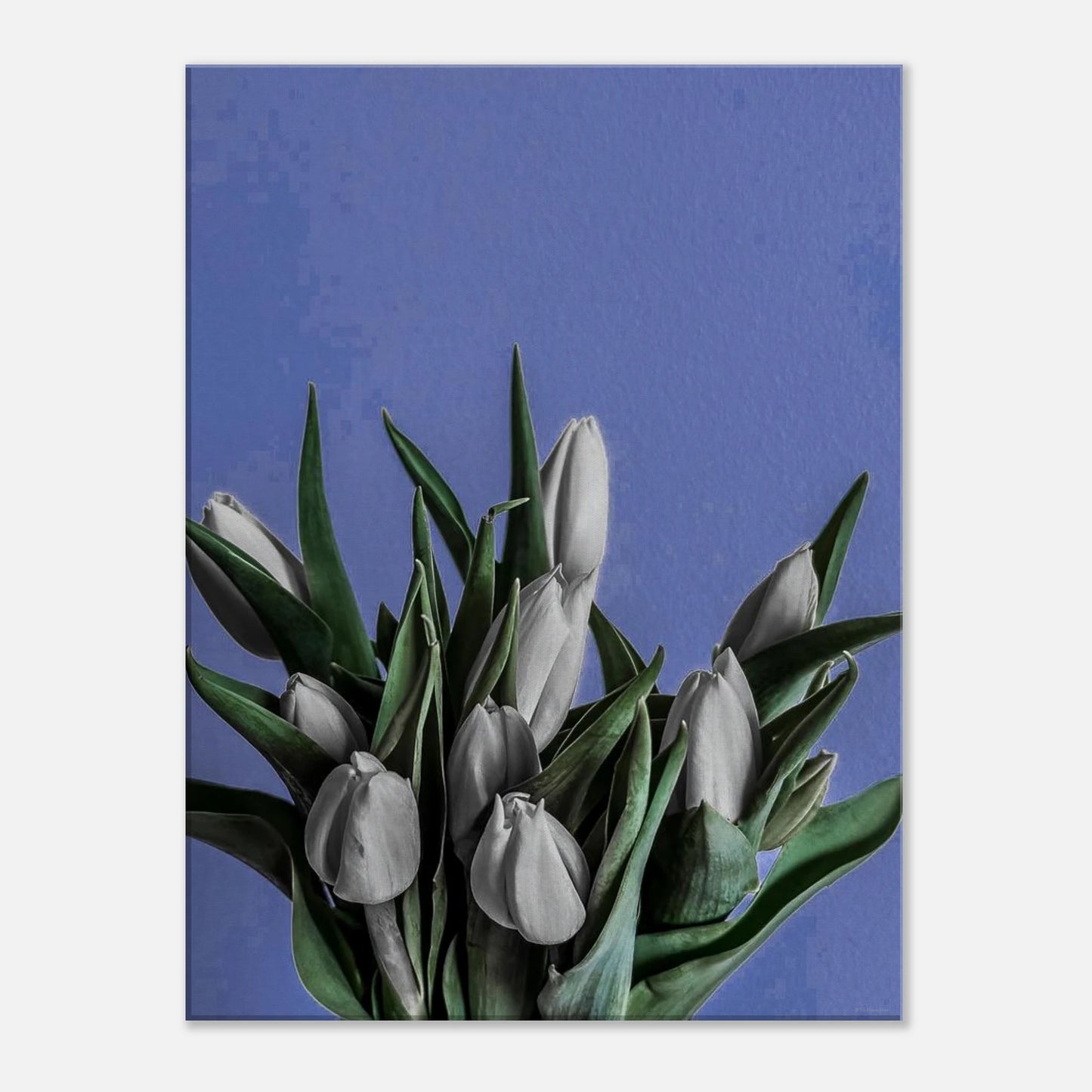 c792c9fc-a1f4-492b-83c2-3e05b9c69280