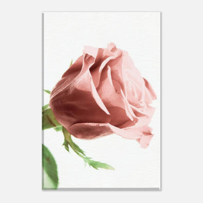 c85b2630-fd9b-48f7-b2d1-1a52d7fdcaba