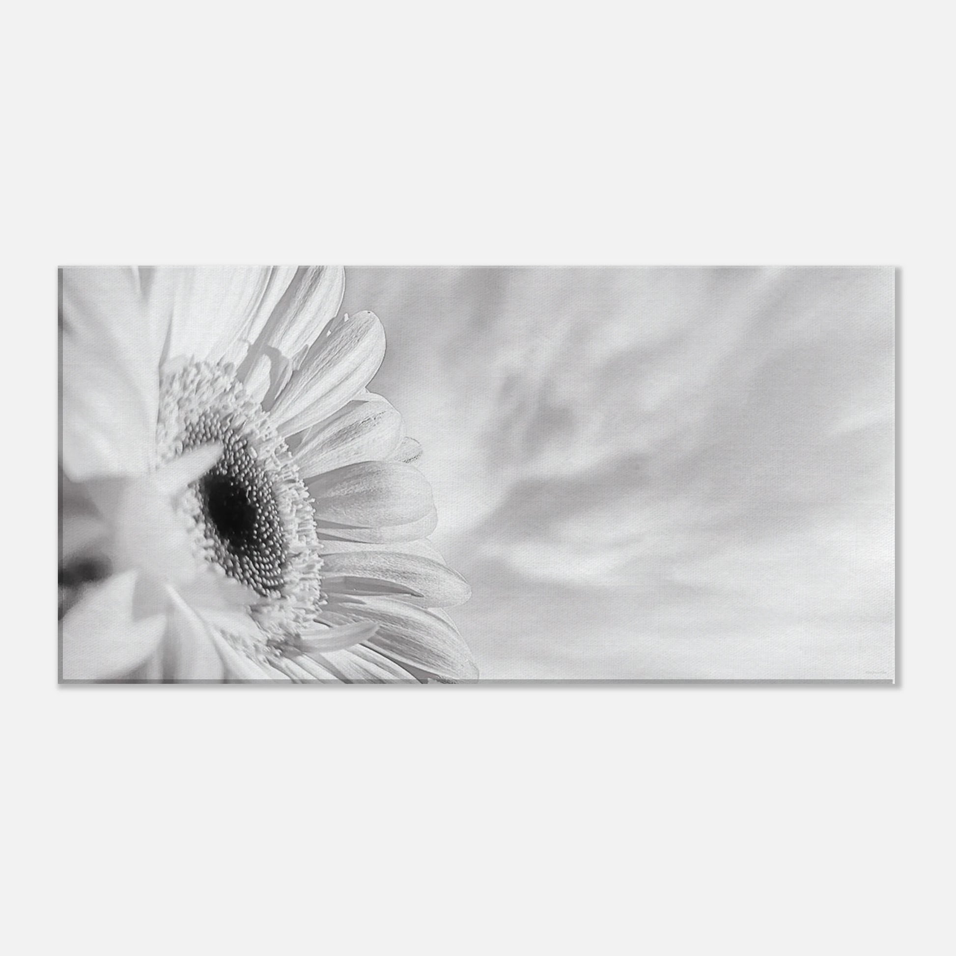 c896c9ff-cfcc-4694-ba6d-67b1f51921a9