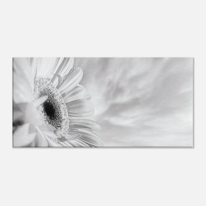 c896c9ff-cfcc-4694-ba6d-67b1f51921a9