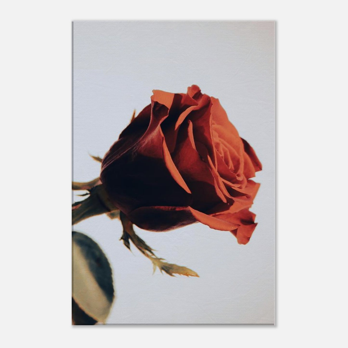 c8bf7174-17b8-4fc3-8d9e-94bebd573ec9