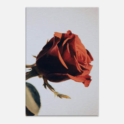 c8bf7174-17b8-4fc3-8d9e-94bebd573ec9