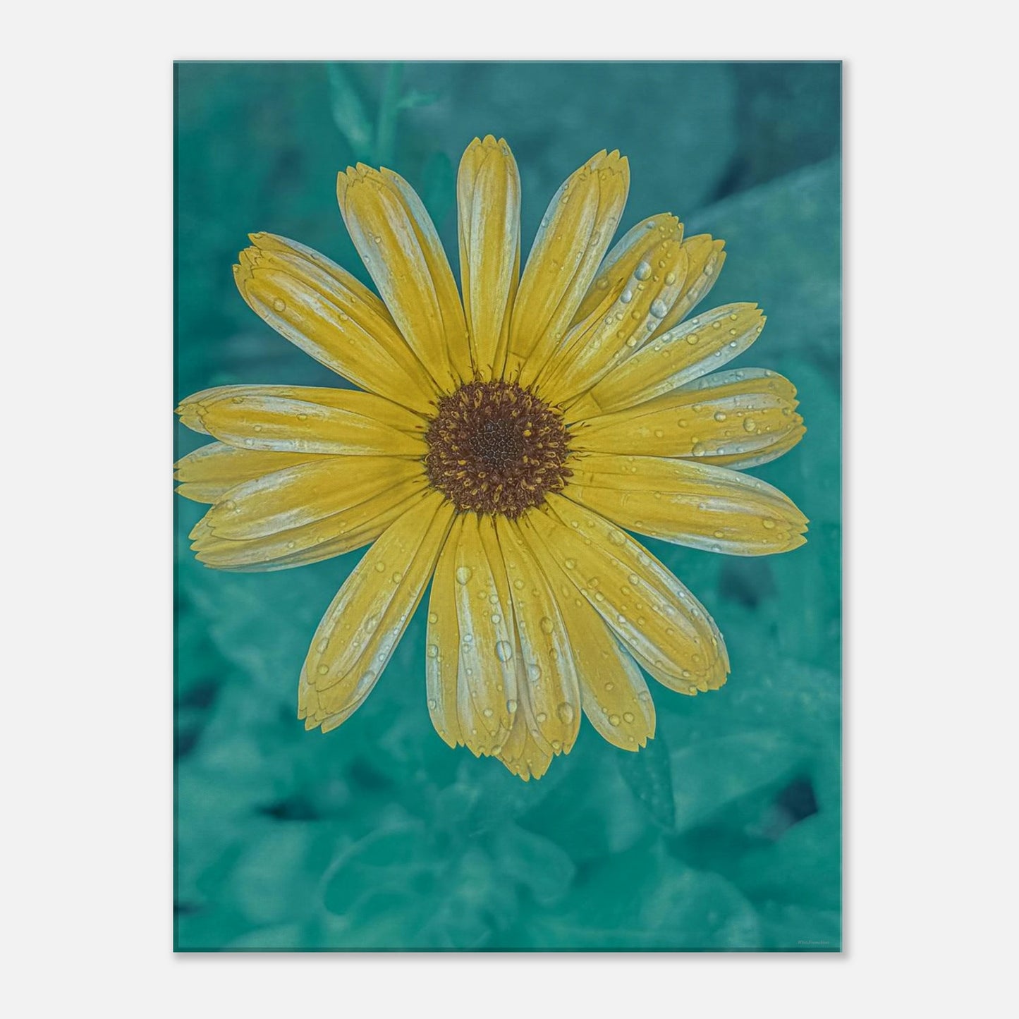 c8db052f-5bfa-4600-b88a-d6df96eca7ca