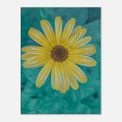 c8db052f-5bfa-4600-b88a-d6df96eca7ca