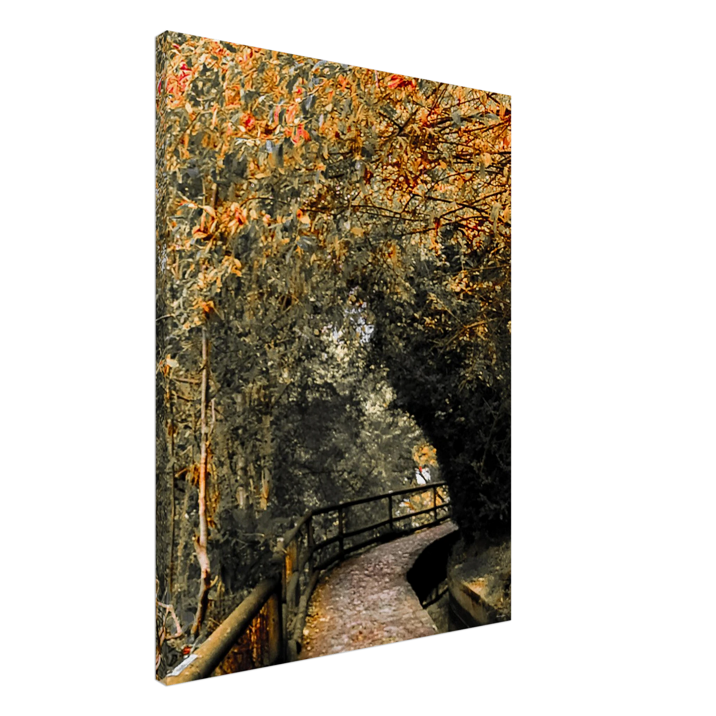 c9023acc-d0cb-4c32-a8f8-107dcdc77c07