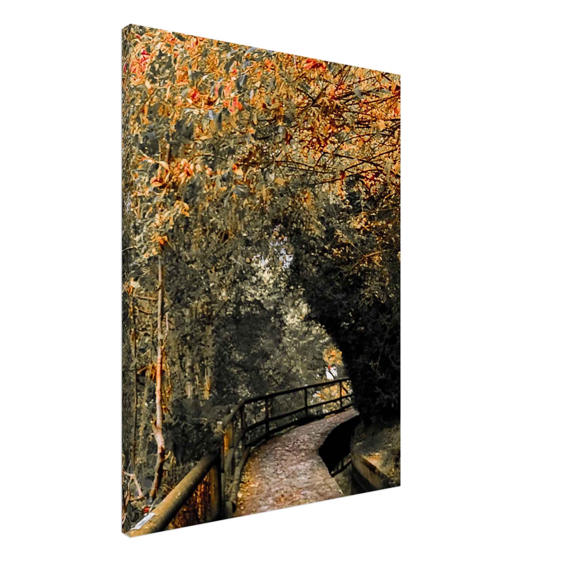 c9023acc-d0cb-4c32-a8f8-107dcdc77c07