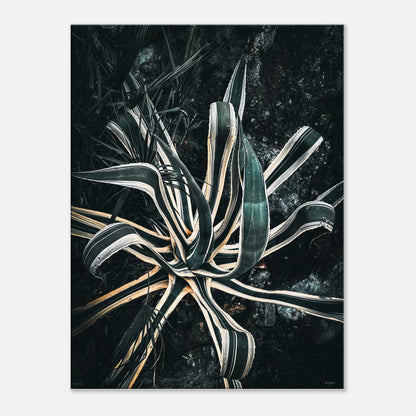 c944b1bf-2b57-4407-aaa1-34348b4bf443