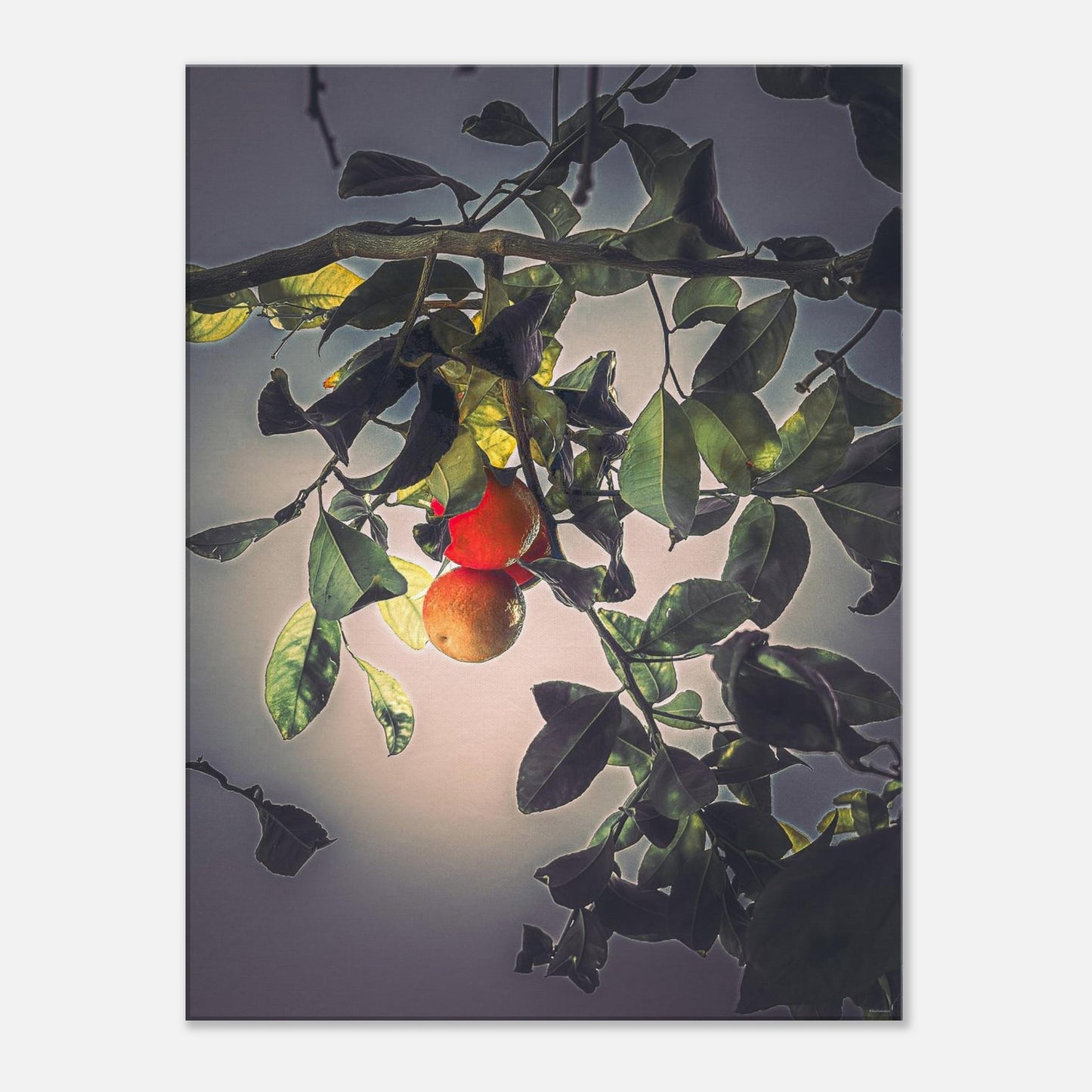 c960ee1c-fdc3-4793-87d9-07fe48267fa7