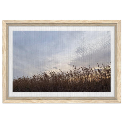 c9826a9b-5e13-442f-9b32-9c73e4d4e069