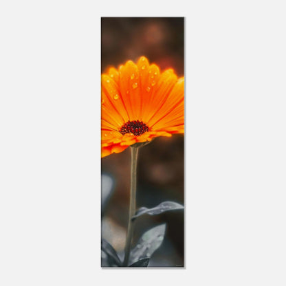 c9b2e5db-1265-4d38-9102-d00c20a937dd