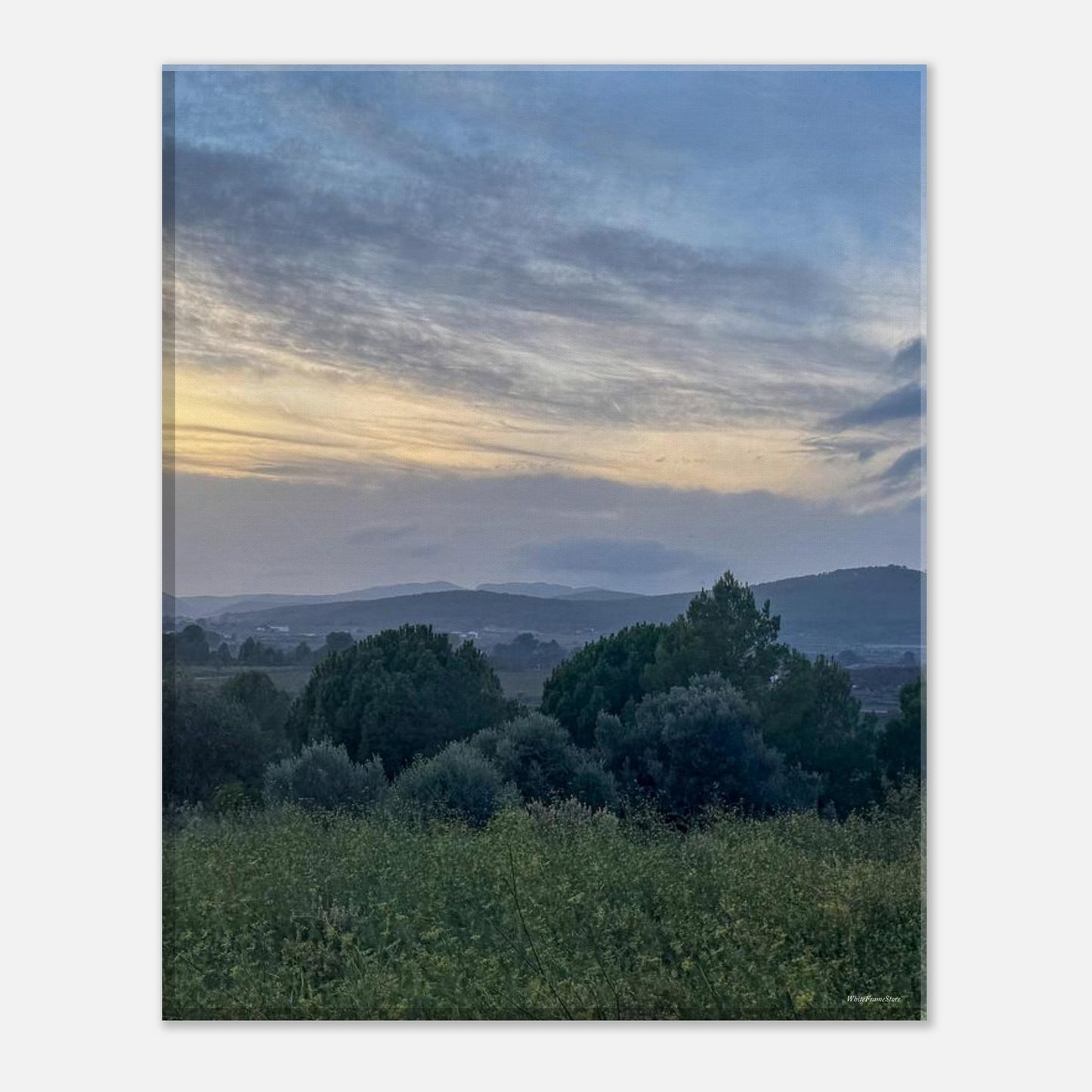 c9b6e728-40a6-4a77-8429-c5b7c51c70b8