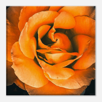 c9b7b99d-9400-4500-a923-ab97e4b6ef0e