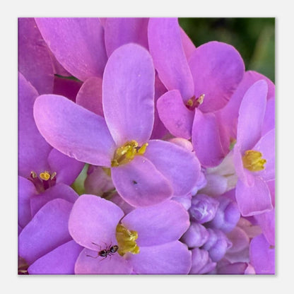 c9d77fbc-a349-4df4-ba85-936ee5ef122a