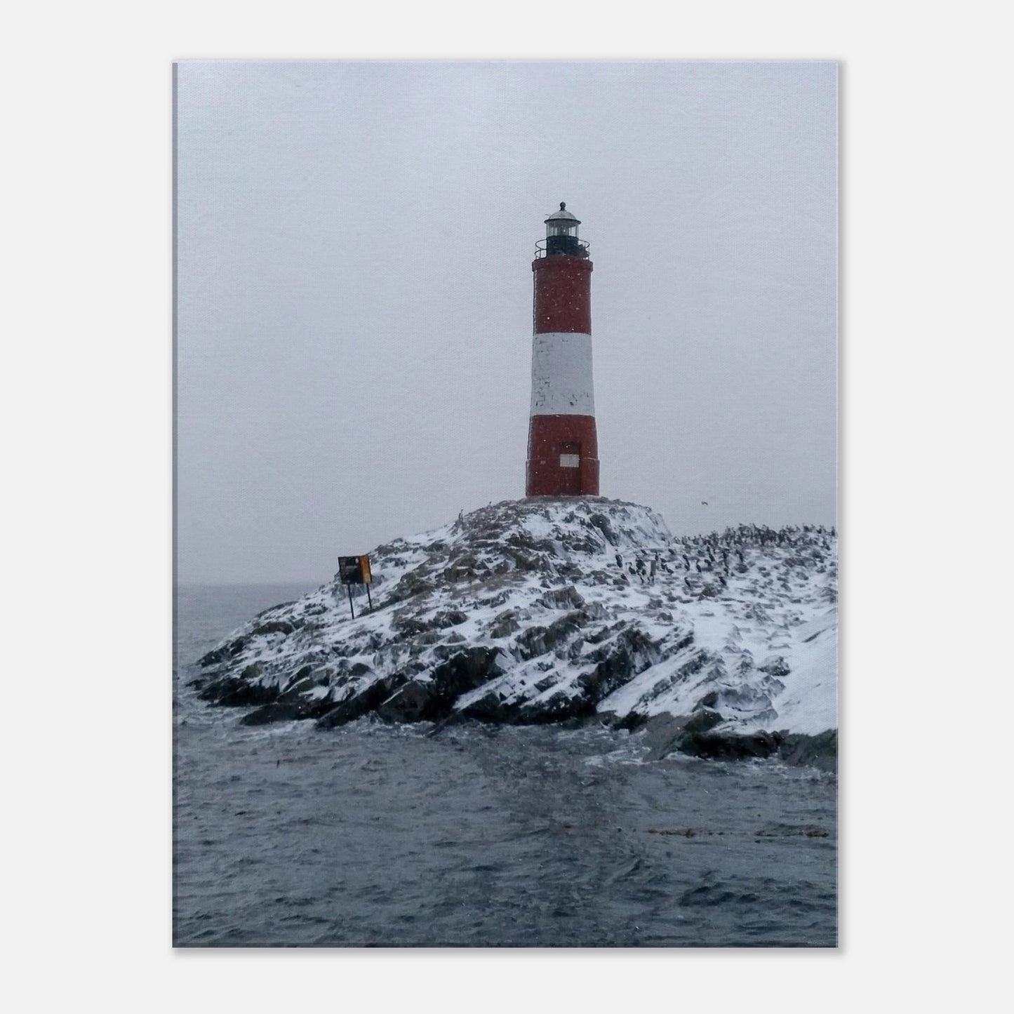 c9e8ff09-db78-44d3-a978-8314e22f54bc