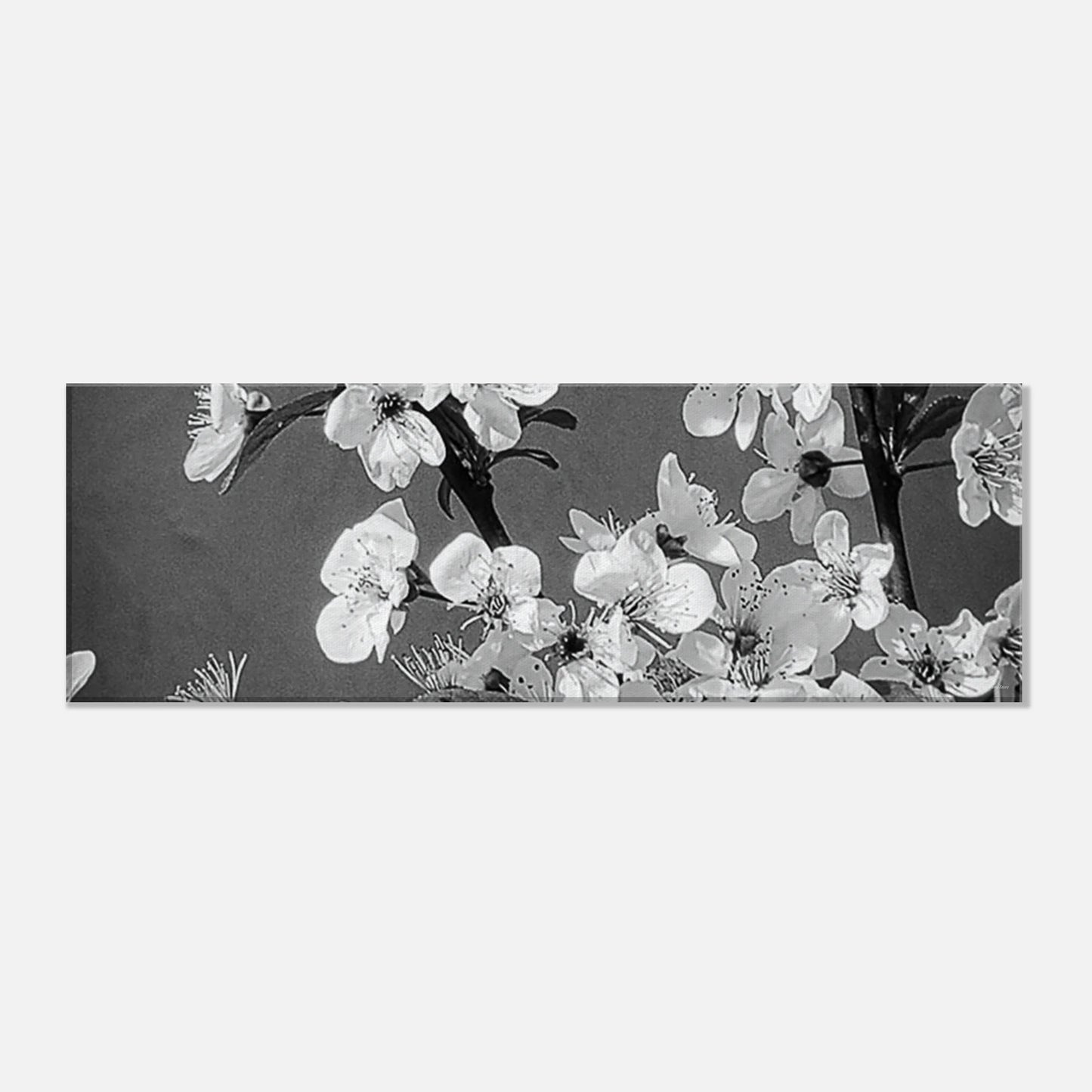 c9ef1e48-7106-406a-9ba8-8915bb258d3d