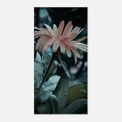 ca059b55-fb06-41e9-9581-5159456bfdff