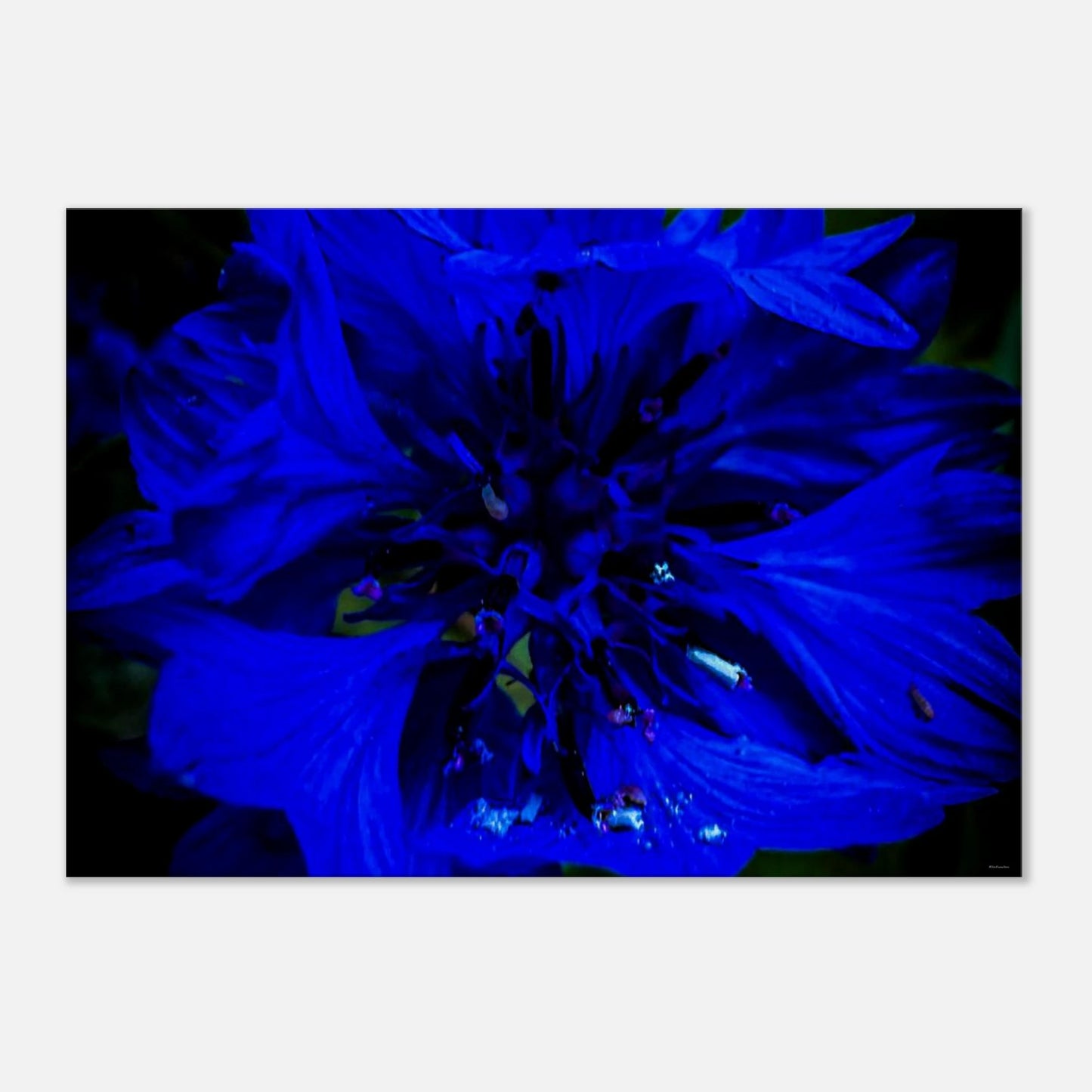 ca1971cf-621a-4557-b3ee-acc4845b4924