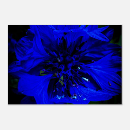 ca1971cf-621a-4557-b3ee-acc4845b4924