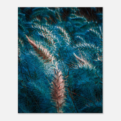 ca4a7da0-0958-4778-ace1-b80479afcfea