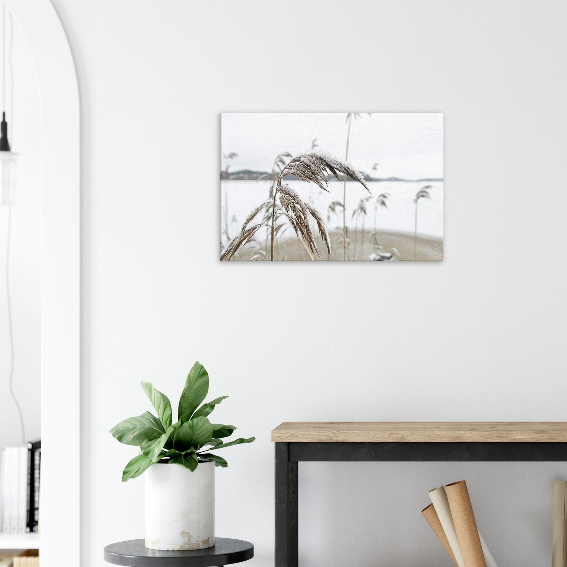 ca650031-eadf-4124-87a1-8d673584f55b