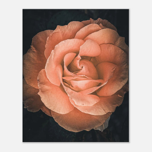 ca7fc0d0-4709-4c67-9e04-a6112ada17dc