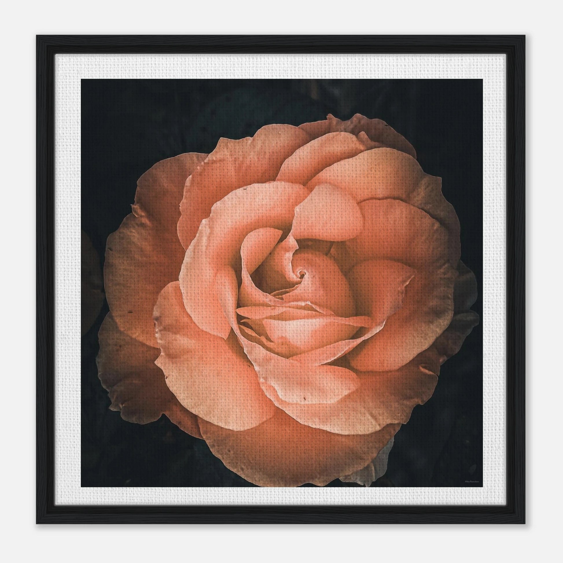 ca9fa6f7-5bd9-4def-9245-9def47985a8f