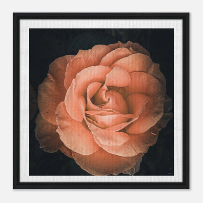 ca9fa6f7-5bd9-4def-9245-9def47985a8f