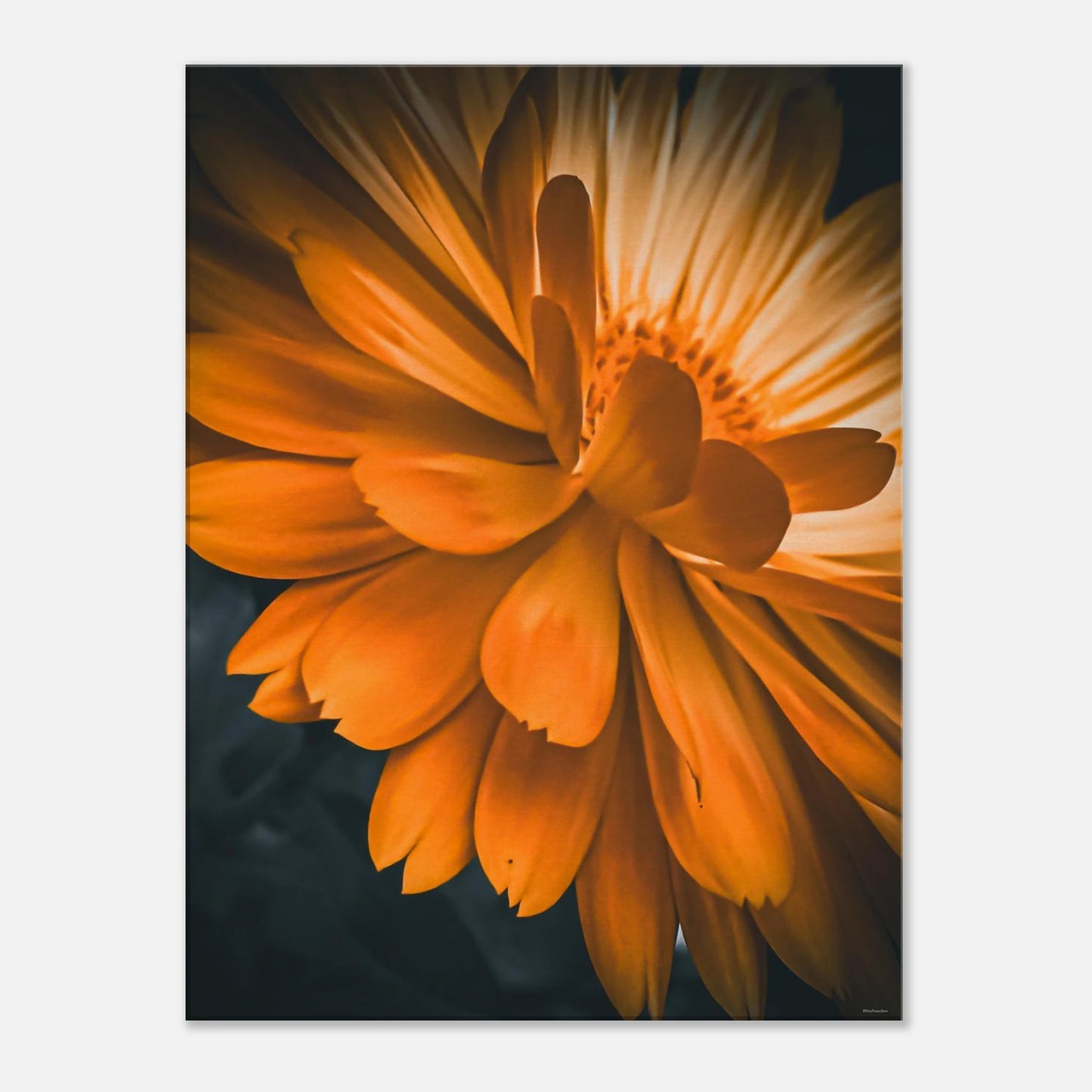 cad9f4bd-0651-4aa0-a68b-1985accdd452